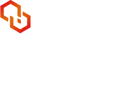 NP Logo